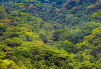 Niterói ganha o Parque Natural Municipal Floresta do Baldeador
