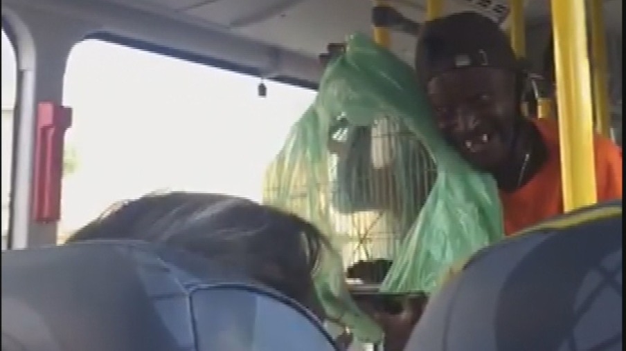 "Rato no ônibus" deu o que falar em Niterói