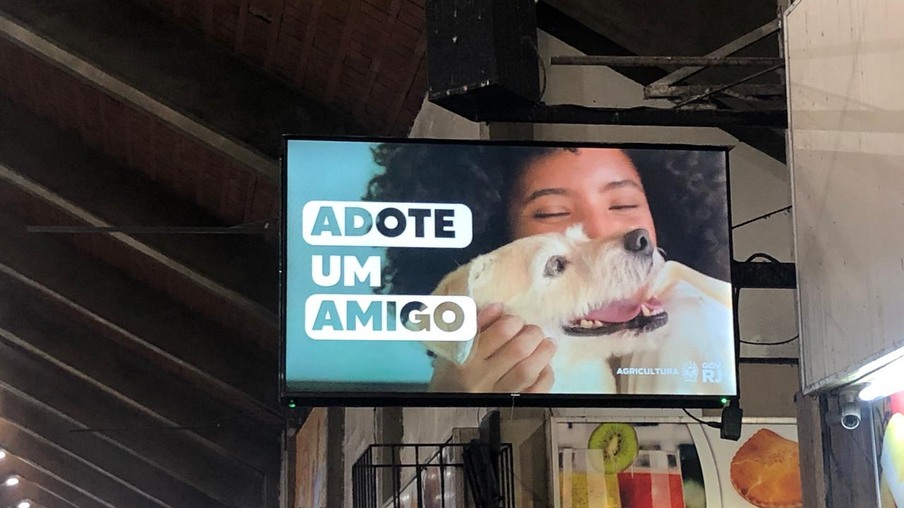 Terminal de Niterói faz campanha de incentivo à adoção de animais