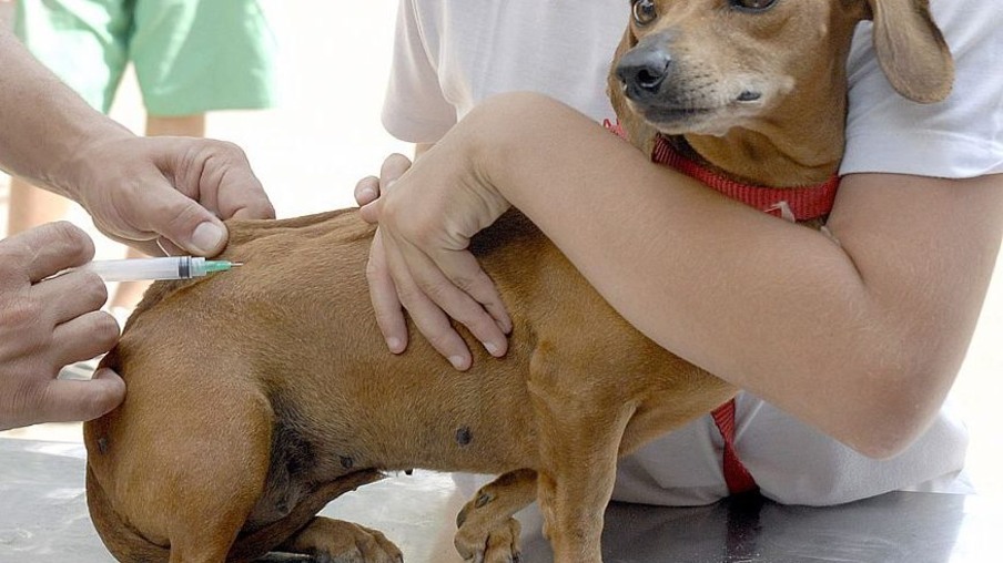 Vacinação contra a raiva animal continua em dois postos de Niterói
