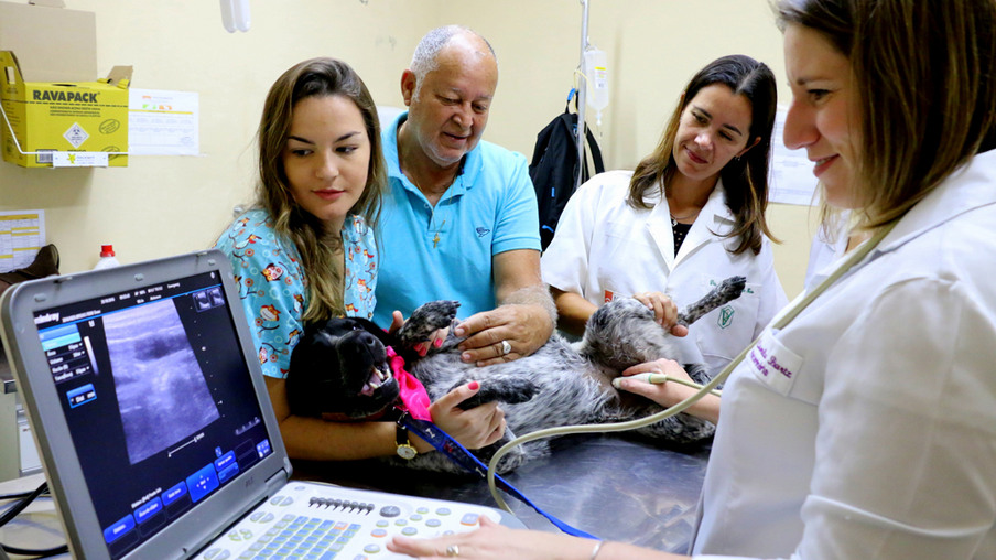 SAÚDE: Prefeitura de Niterói promove ações do Novembro Azul para cães e gatos
