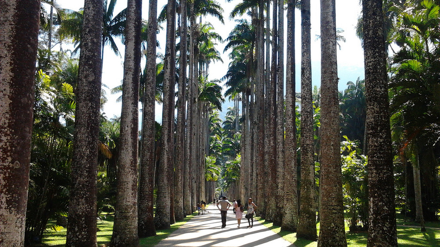 RIO: Jardim Botânico do Rio permanece fechado nesta quinta-feira