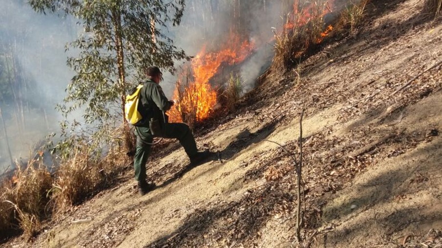 Guarda ambiental acaba com foco de incêndio no Fonseca
