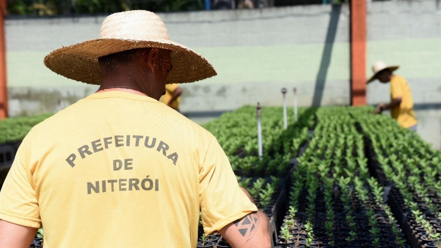 Moradores de Niterói podem pedir doação de mudas produzidas nos viveiros da cidade