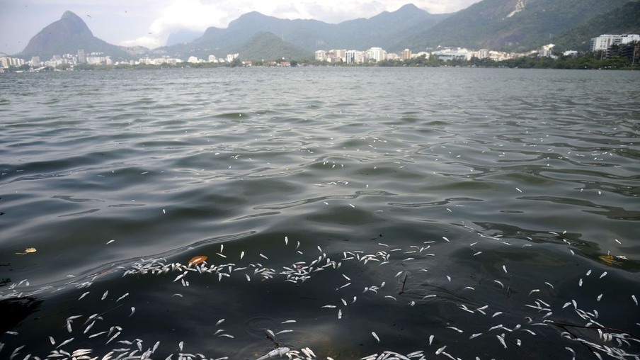 A Companhia de Limpeza Urbana (Comlurb) recolhe toneladas de peixes mortos da Lagoa Rodrigo de Freitas, zona sul do Rio de Janeiro. A mortandade atingiu principalmente as savelhas, peixes mais fracos quando falta oxigenação na água.