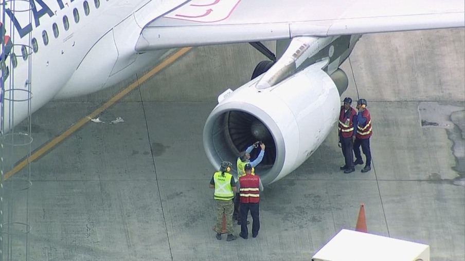 Avião retorna ao aeroporto após colidir com ave