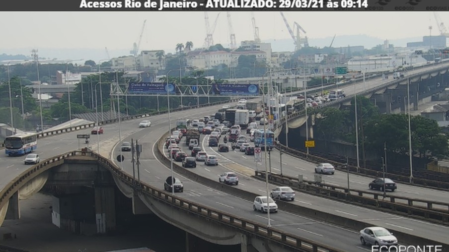 Ponte Rio-Niterói é fechada para resgate de cachorro