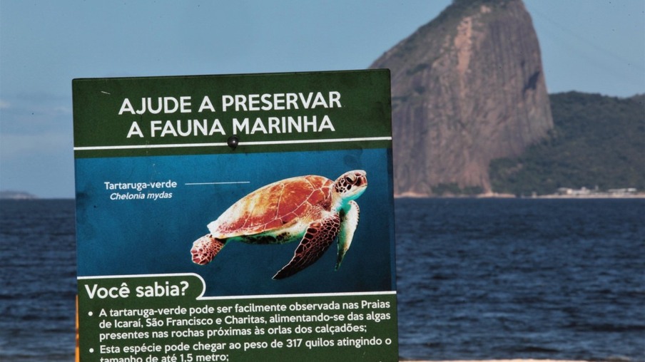 Praias ganham placas sobre preservação da fauna marinha