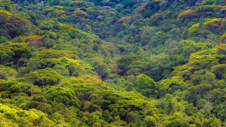 Niterói promove oficina participativa sobre o Parque Natural Municipal Floresta do Baldeador