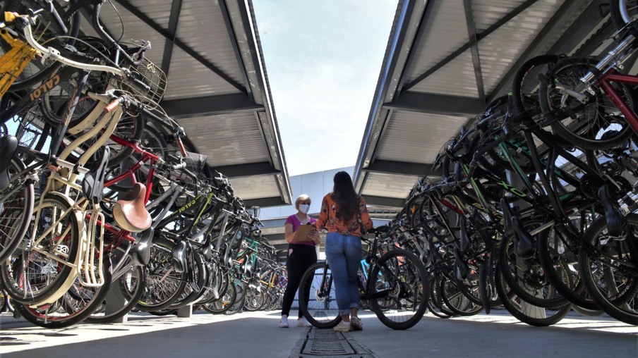Número de ciclistas nas principais vias de Niterói quadruplicou nos últimos anos