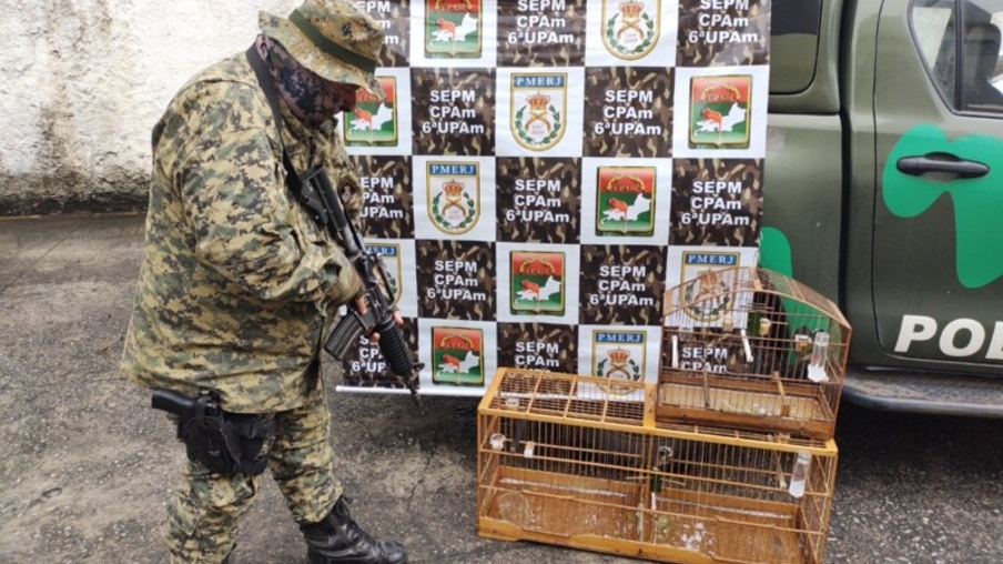 Polícia Ambiental resgata pássaros silvestres em Niterói