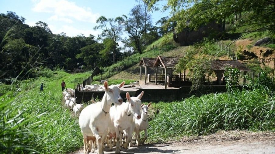 Niterói convoca produtores agroecológicos urbanos para cadastramento