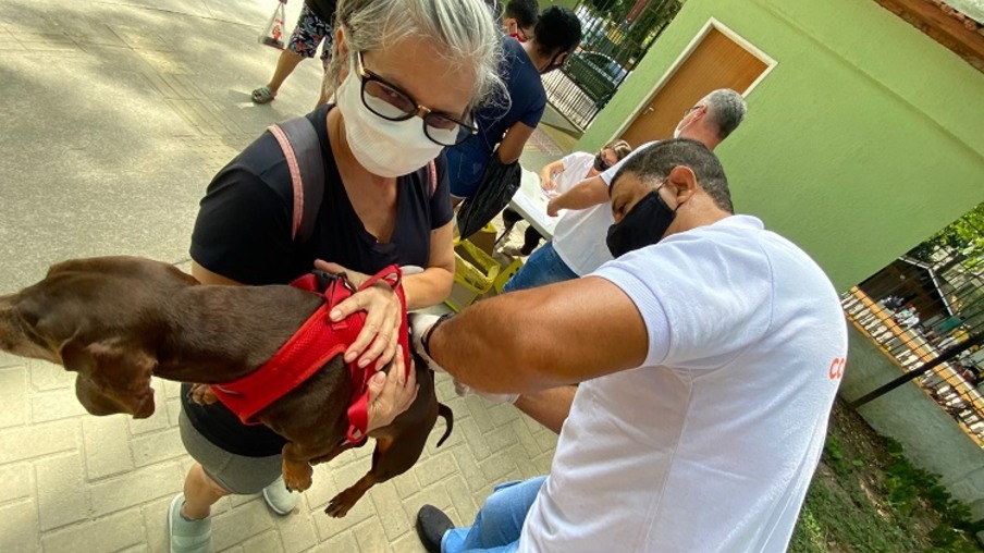 Serão 22 pontos de vacinação, abertos das 8h às 17h, para imunizar cães e gatos contra a raiva animal | 
Foto: Luciana Carneiro